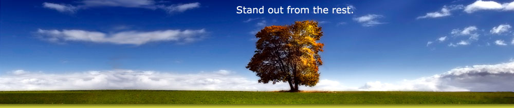 Search Engine Optimisation SEO Services